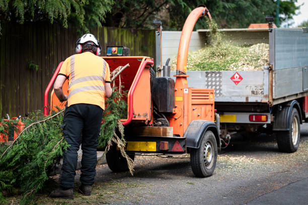 Best Tree Mulching  in Hanamaulu, HI