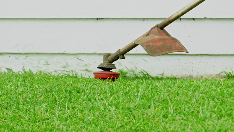 Best Aeration Services  in Hanamaulu, HI