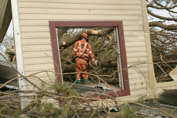 Best Root Management and Removal  in Hanamaulu, HI